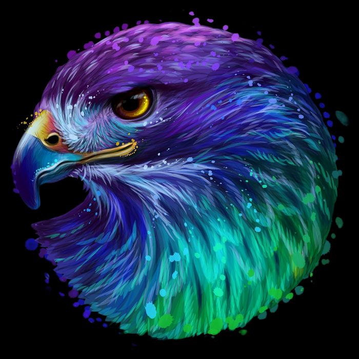 Realistic Water Colored Eagle Sweatshirt