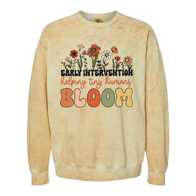 Retro Wildflower Early Intervention Helping Tiny Human Bloom Colorblast Crewneck Sweatshirt