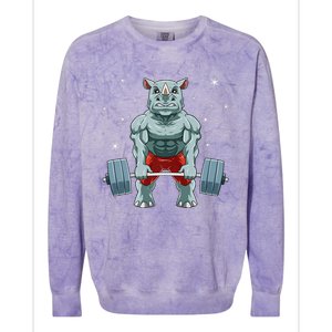 Rhino Weightlifting Fitness Gym For A Rhino Lover Premium Colorblast Crewneck Sweatshirt