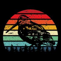 Retro Woodcock Hunter Timberdoodle Bogsucker Hokumpoke Gifts Womens Tank Top