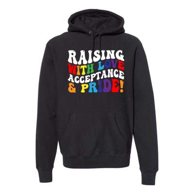 Raising With Love Acceptance And Pride Groovy Lgbtq Premium Hoodie