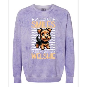 Running With My Welsh Terrier Funny Gift Colorblast Crewneck Sweatshirt