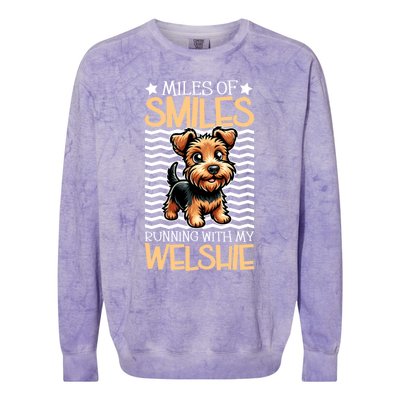 Running With My Welsh Terrier Gift Colorblast Crewneck Sweatshirt