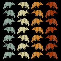 Retro Wild Nature Armadillo Lover Animal Armadillo Magnet