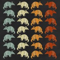 Retro Wild Nature Armadillo Lover Animal Armadillo Golf Towel