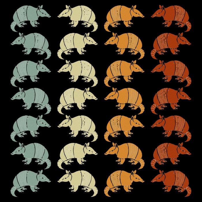 Retro Wild Nature Armadillo Lover Animal Armadillo Cropped Pullover Crew