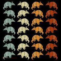 Retro Wild Nature Armadillo Lover Animal Armadillo Short Acrylic Beanie