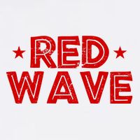 Red Wave Pro Republican Ladies Long Sleeve Shirt