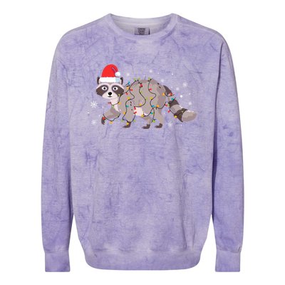 Raccoon Wearing Santa Hat Snowflakes Christmas Lights Gift Colorblast Crewneck Sweatshirt