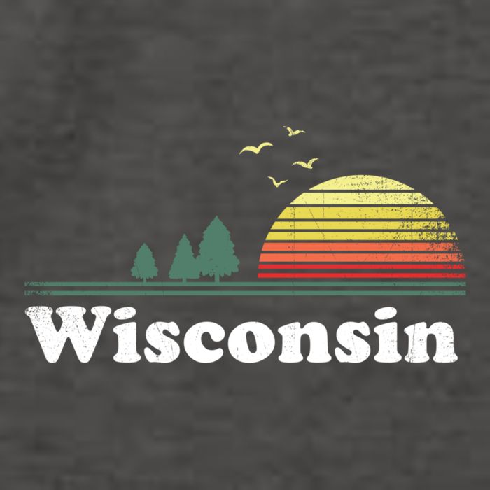 Retro Wisconsin State Park Wi Home Design Cute Gift Vector Backpack