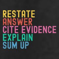 Races Writing Strategy Funny Text Evidence English Teacher 7 Panel Mesh Trucker Snapback Hat