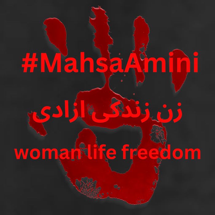 RISE WITH THE WOMEN OF IRAN, Women Life Freedom Hand Blood Beanie