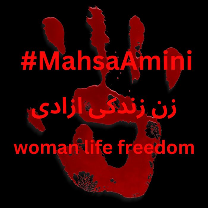 RISE WITH THE WOMEN OF IRAN, Women Life Freedom Hand Blood Toddler T-Shirt