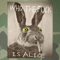 Retro Who The F_ck Is Alice Funny Rabbit  Legacy Tie Dye Trucker Hat