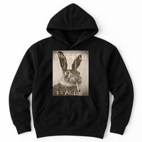 Retro Who The F_ck Is Alice Funny Rabbit  Hoodie
