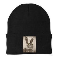 Retro Who The F_ck Is Alice Funny Rabbit  Beanie