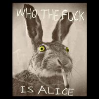 Retro Who The F_ck Is Alice Funny Rabbit  Flatbill Hat