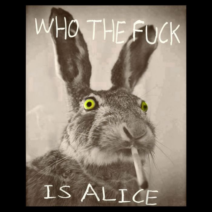 Retro Who The F_ck Is Alice Funny Rabbit  Flatbill Hat