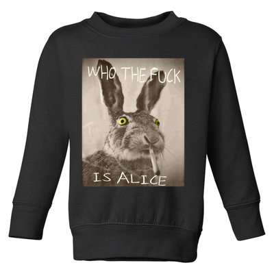 Retro Who The F_ck Is Alice Funny Rabbit  Toddler Sweatshirt