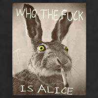 Retro Who The F_ck Is Alice Funny Rabbit  Trucker Hat