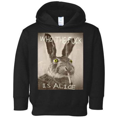 Retro Who The F_ck Is Alice Funny Rabbit  Toddler Hoodie