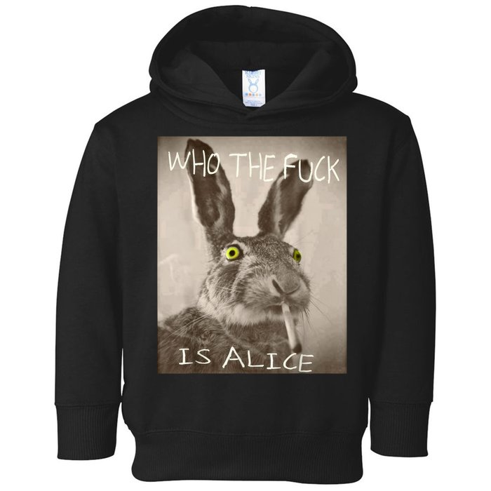 Retro Who The F_ck Is Alice Funny Rabbit  Toddler Hoodie