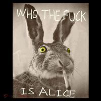 Retro Who The F_ck Is Alice Funny Rabbit  Women's V-Neck T-Shirt