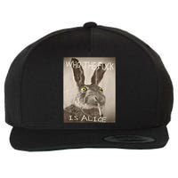 Retro Who The F_ck Is Alice Funny Rabbit  Wool Snapback Cap