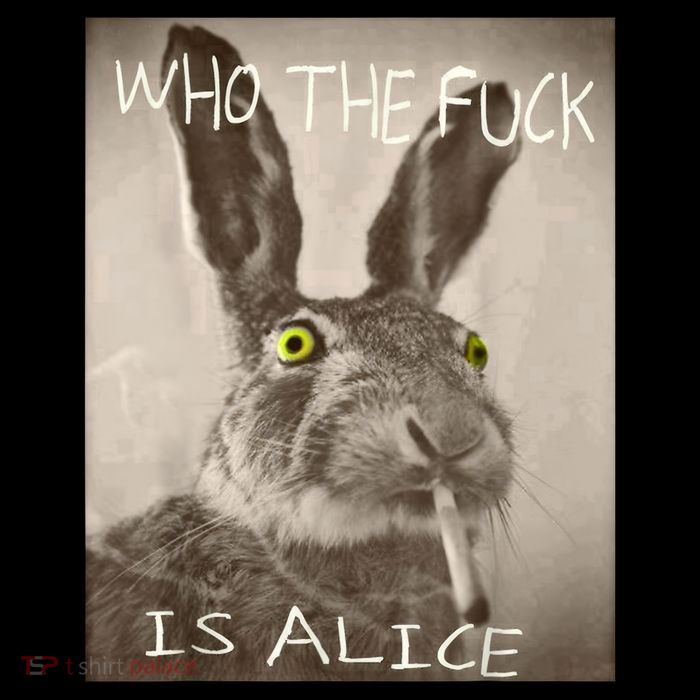 Retro Who The F_ck Is Alice Funny Rabbit  Wool Snapback Cap