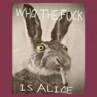 Retro Who The F_ck Is Alice Funny Rabbit  16oz Travel Tumbler