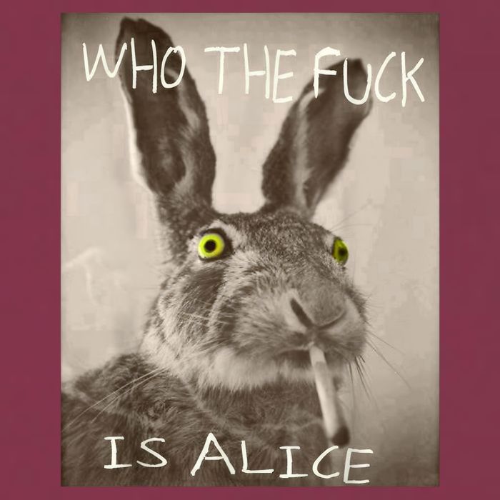 Retro Who The F_ck Is Alice Funny Rabbit  16oz Travel Tumbler