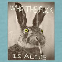 Retro Who The F_ck Is Alice Funny Rabbit  Sueded Cloud Jersey T-Shirt