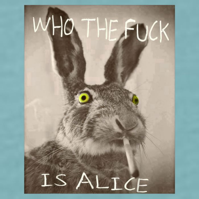 Retro Who The F_ck Is Alice Funny Rabbit  Sueded Cloud Jersey T-Shirt