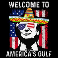 Retro Welcome To AmericaS Gulf Funny Trump Mexico America Toddler T-Shirt
