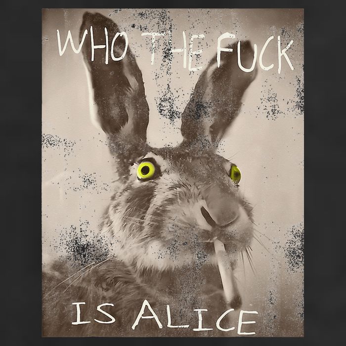 Retro Who The Fck Is Alice Funny Rabbit Hat