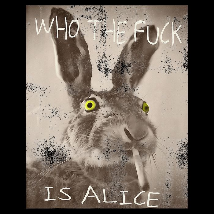 Retro Who The Fck Is Alice Funny Rabbit Cropped Pullover Crew