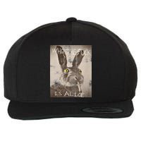 Retro Who The Fck Is Alice Funny Rabbit Wool Snapback Cap