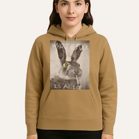Retro Who The Fck Is Alice Funny Rabbit Hoodie