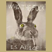Retro Who The Fck Is Alice Funny Rabbit T-Shirt