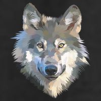 Realistic White Wolf, Realistic Animal Print With Colors Premium Golf Towel