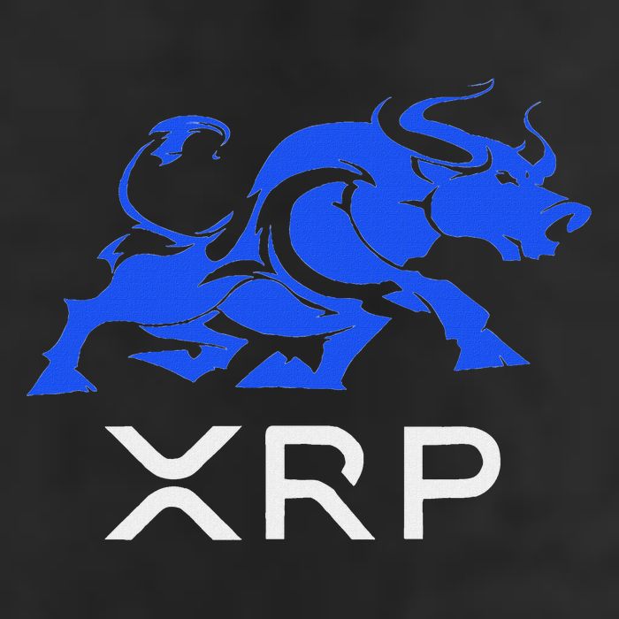 Ripple Xrp Bullrun To The Moon Cryptocurrency Coin Token Beanie