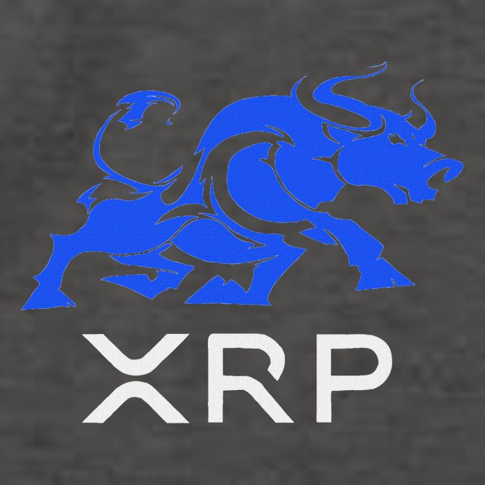 Ripple Xrp Bullrun To The Moon Cryptocurrency Coin Token Vector Backpack