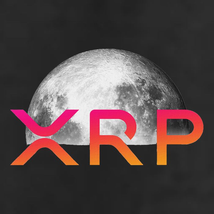 Ripple Xrp Coin Moon Xrp Army Crypto Cryptocurrency Trucker Hat