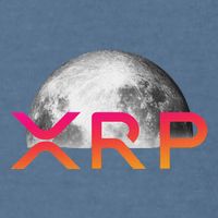 Ripple Xrp Coin Moon Xrp Army Crypto Cryptocurrency Garment-Dyed Sweatshirt