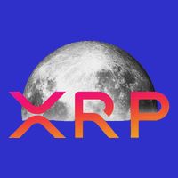 Ripple Xrp Coin Moon Xrp Army Crypto Cryptocurrency 16 in Basic Backpack