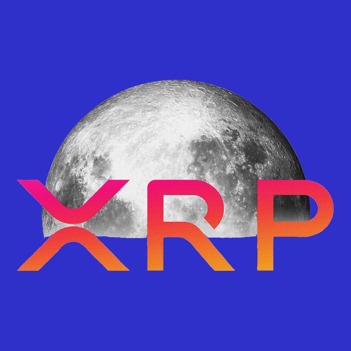 Ripple Xrp Coin Moon Xrp Army Crypto Cryptocurrency Bag