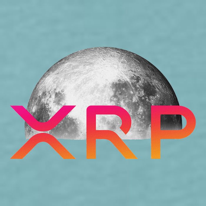 Ripple Xrp Coin Moon Xrp Army Crypto Cryptocurrency Sueded Cloud Jersey T-Shirt