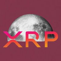 Ripple Xrp Coin Moon Xrp Army Crypto Cryptocurrency Xrp 16oz Travel Tumbler