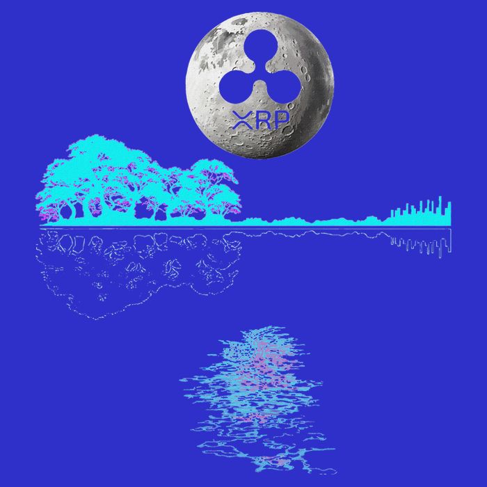 Ripple Xrp Guitar Lake Moon Kids Hoodie