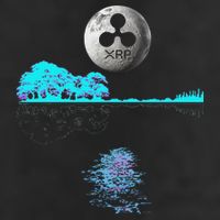 Ripple Xrp Guitar Lake Moon Ripple Hodler Beanie